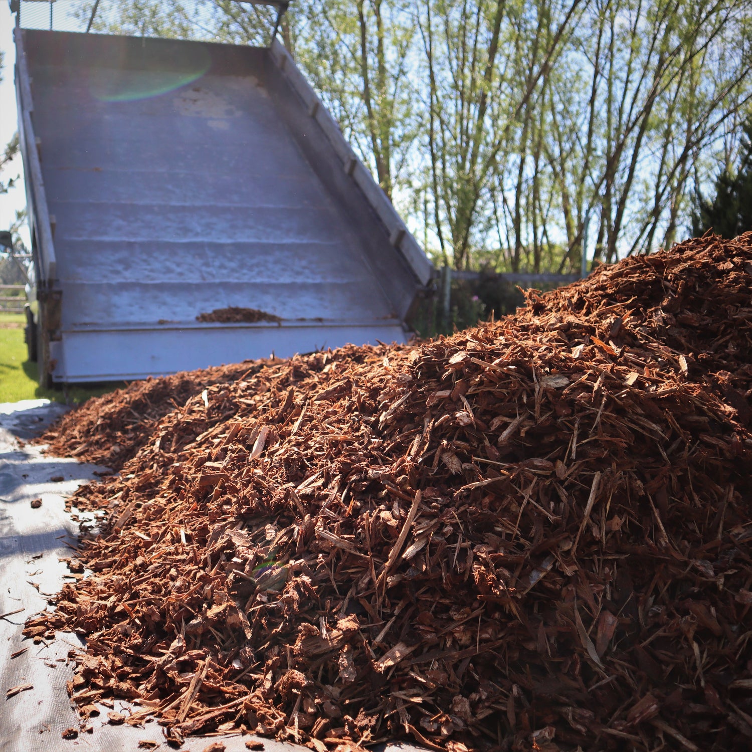 A Dump of landscape mulch from Missoula Dirt Delivery.