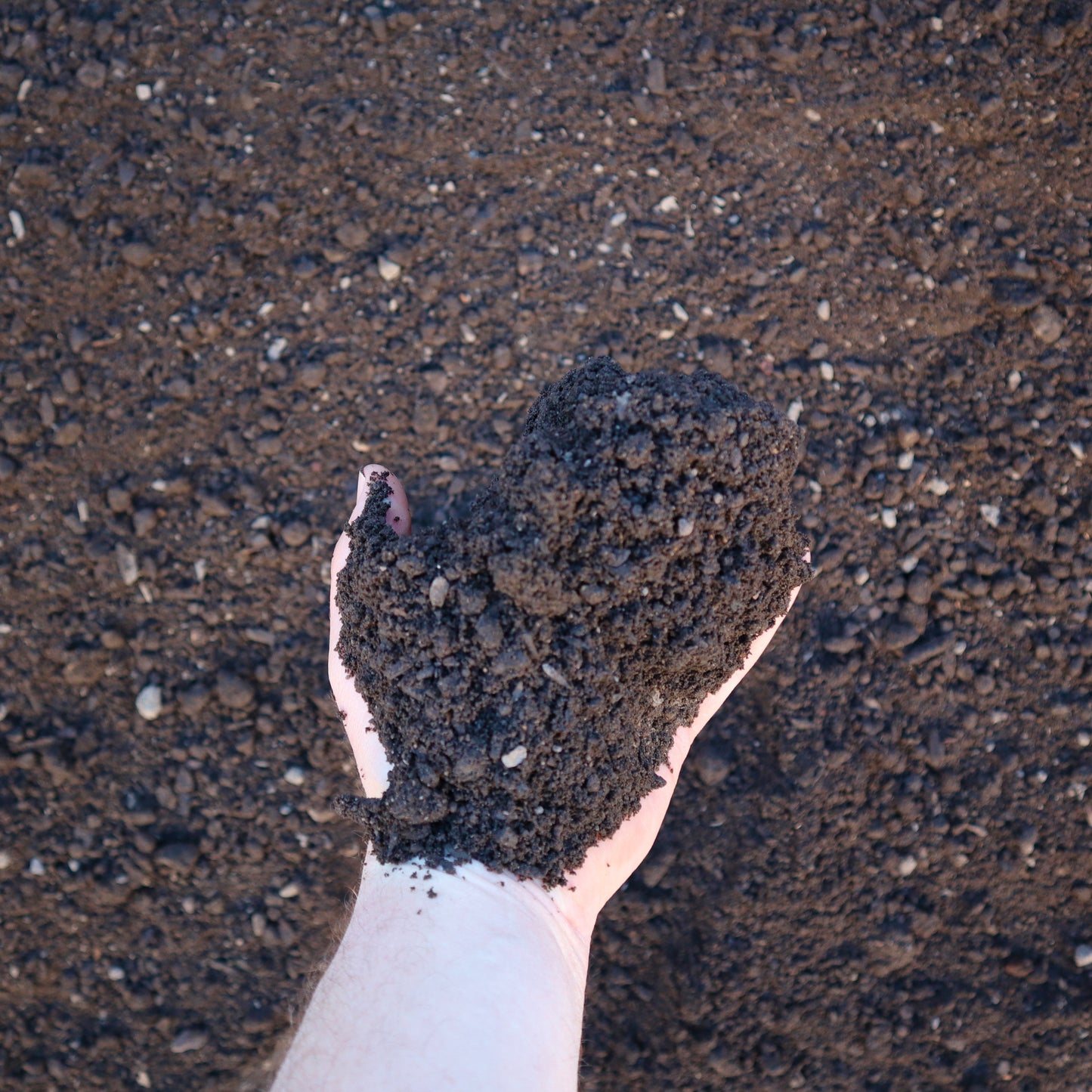 Forrest Blend Garden Soil