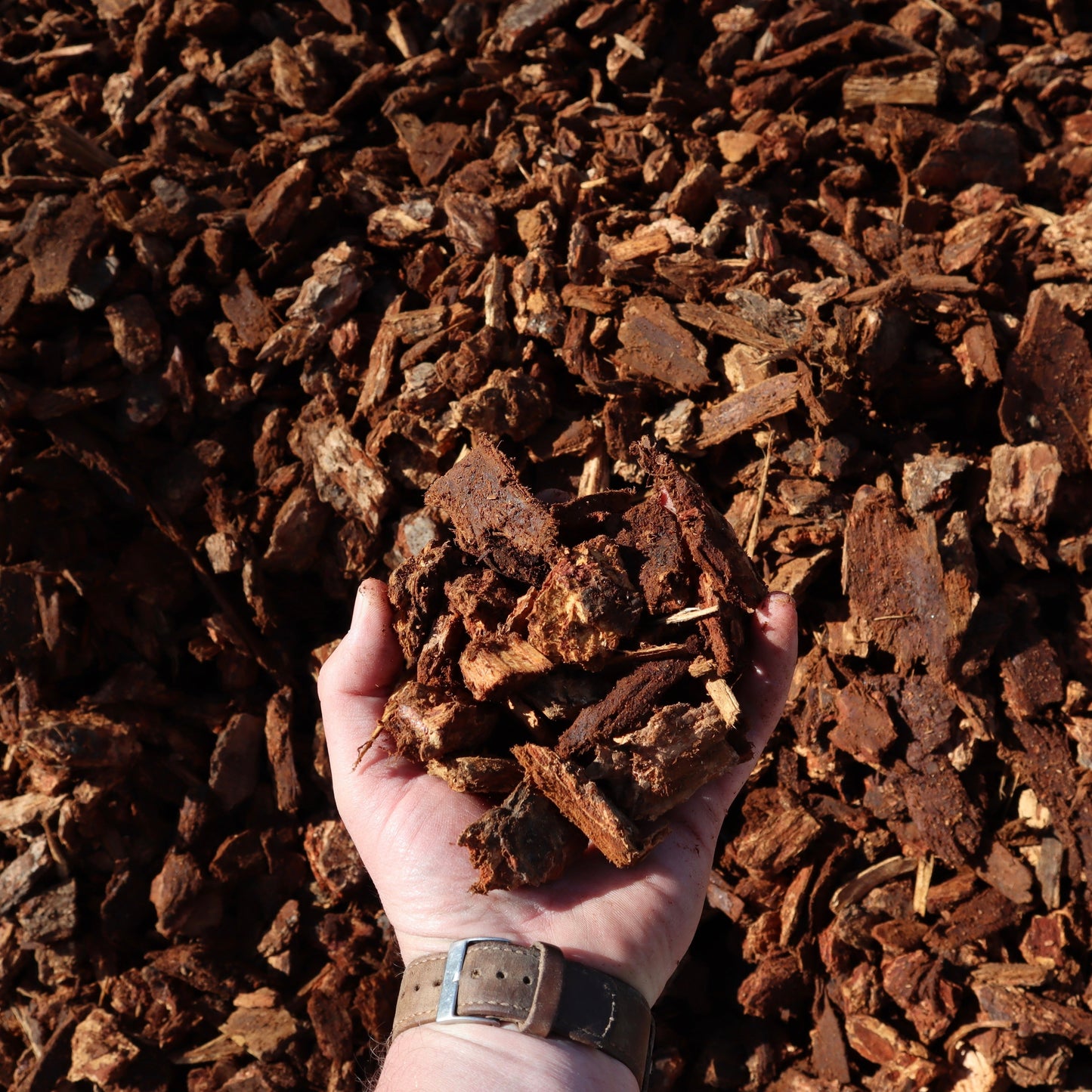 Missoula landscape bark being held in hand