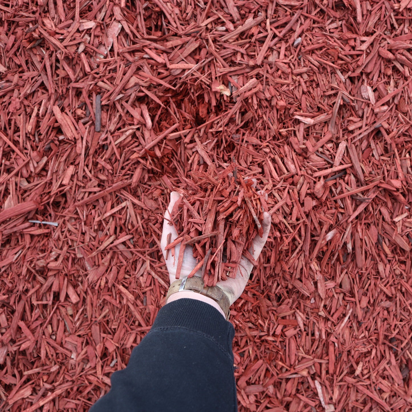 Dyed red landscape mulch beauty bark from Missoula Dirt Delivery