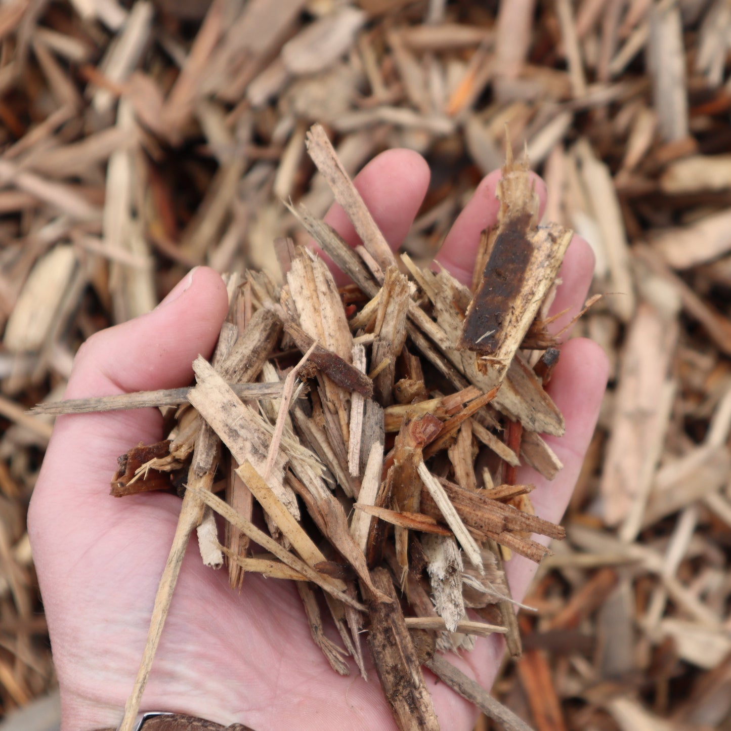 Recycled Pallet mulch landscape mulch