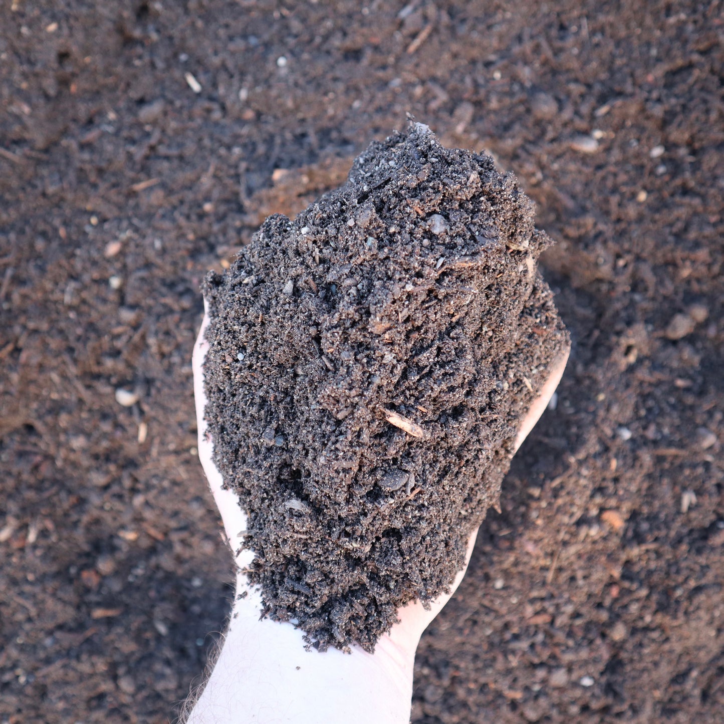 Hand holding a scoop of dark veggie soil against a similar textured background
