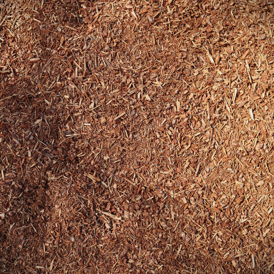 Fresh Soil Pep (Red Pep)