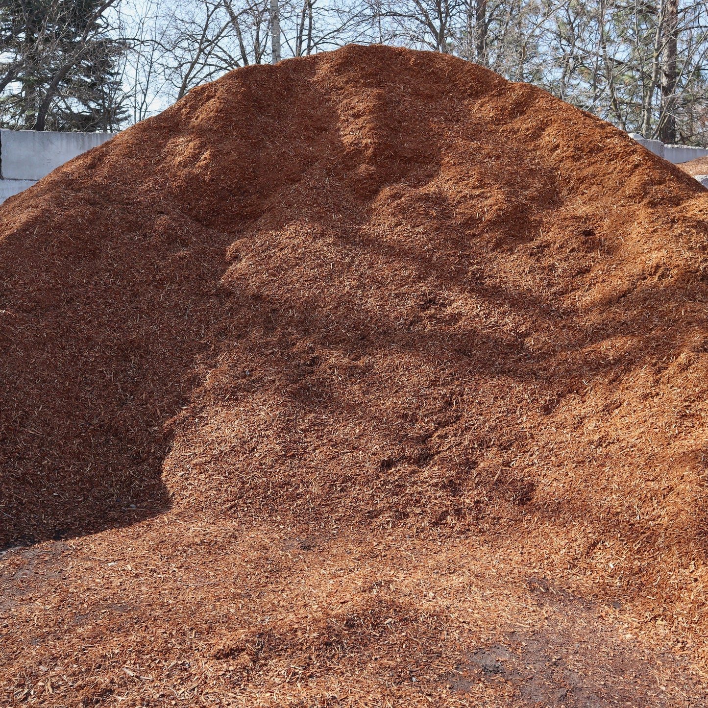 Fresh Soil Pep (Red Pep)