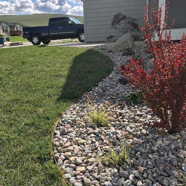 1.5" round river rock landscape material used in a landscape in Missoula Montana.