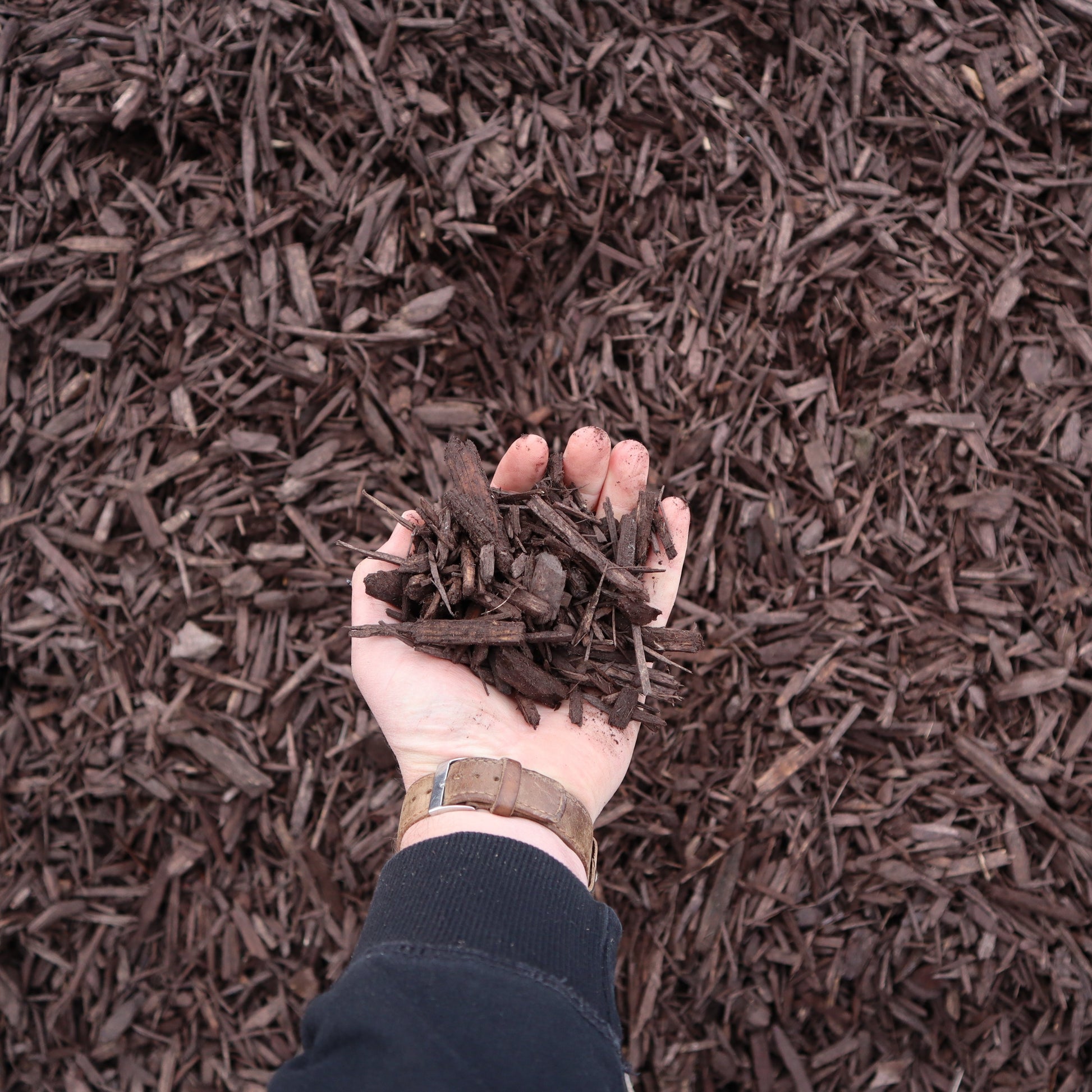 Brown Died Beauty Bark from Missoula Dirt Delivery