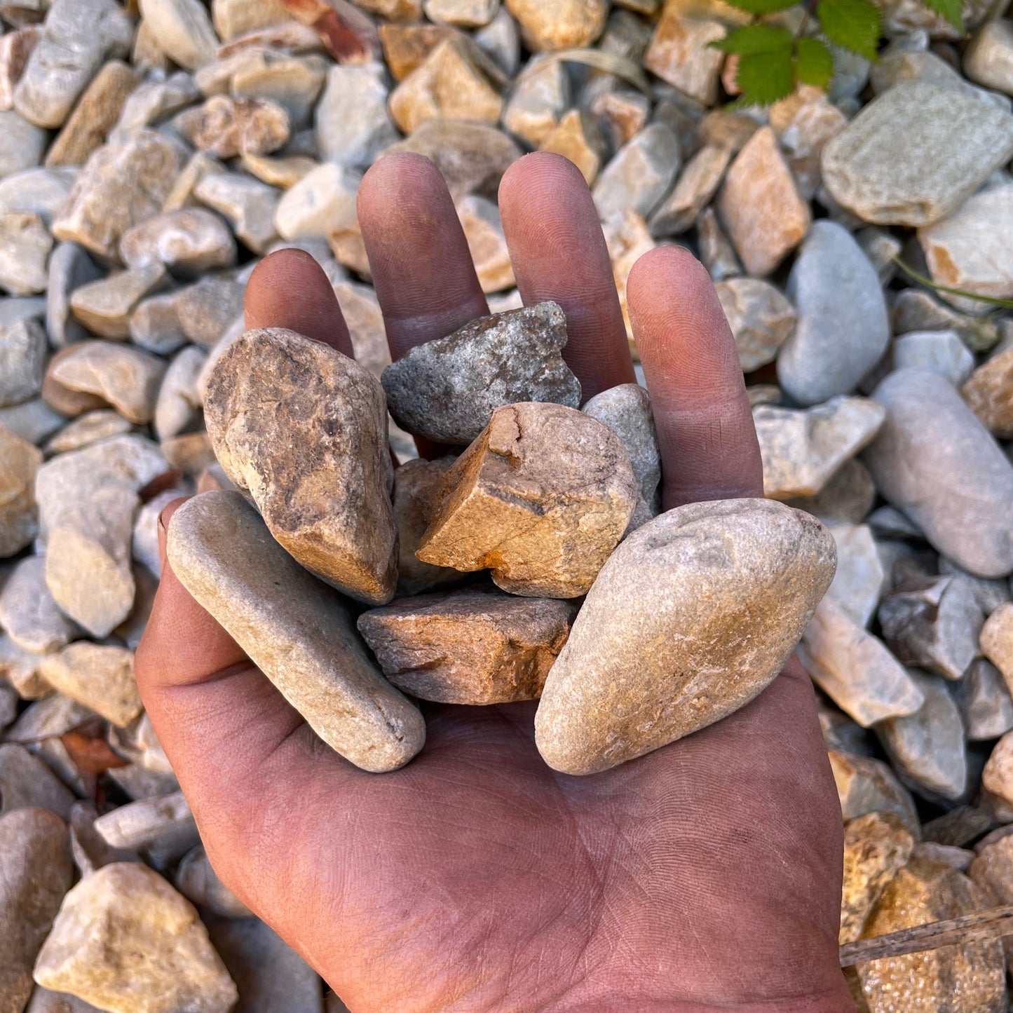 Tan colored Lolo landscape rock close up from Missoula Dirt Delivery