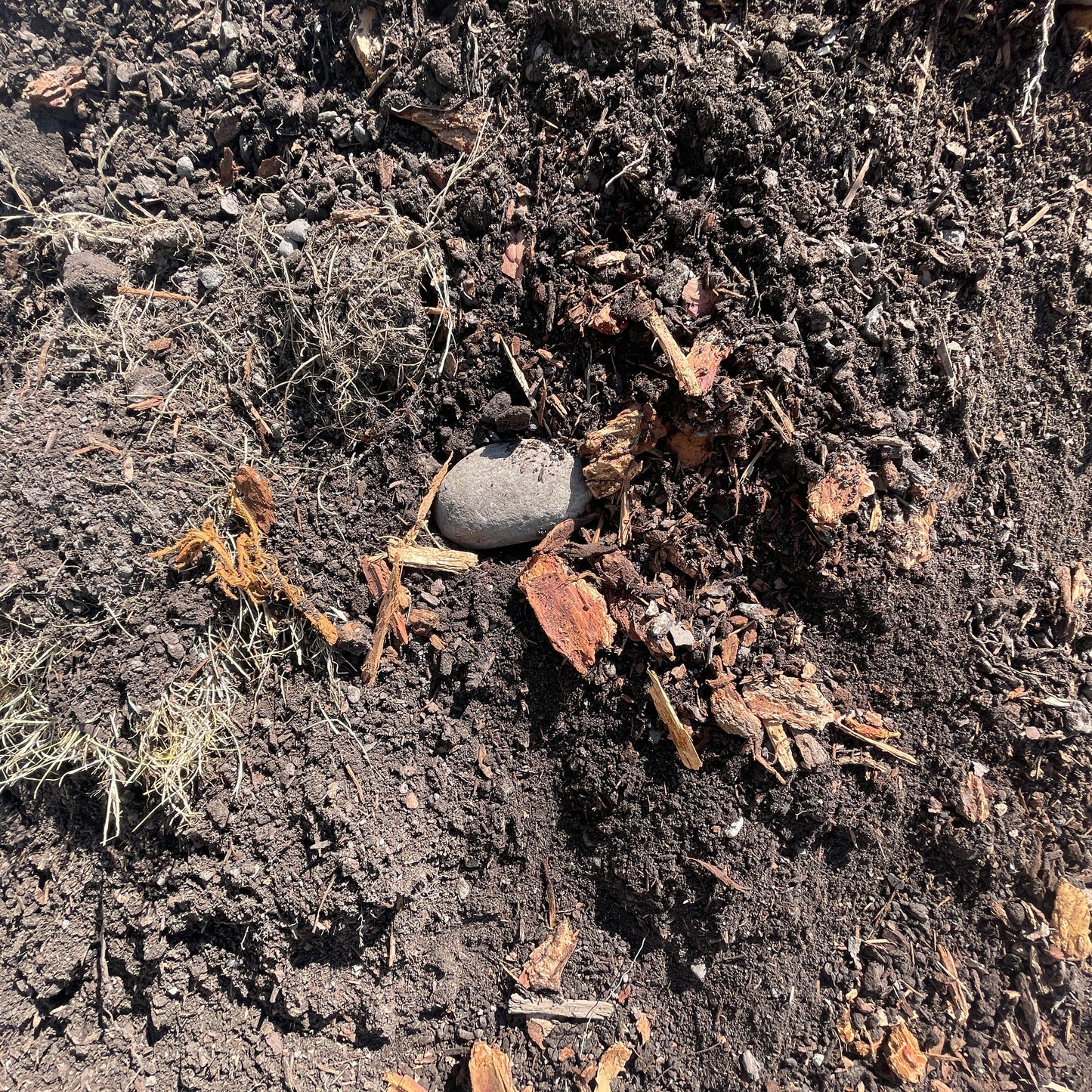 a close up of unscreened fill dirt.  