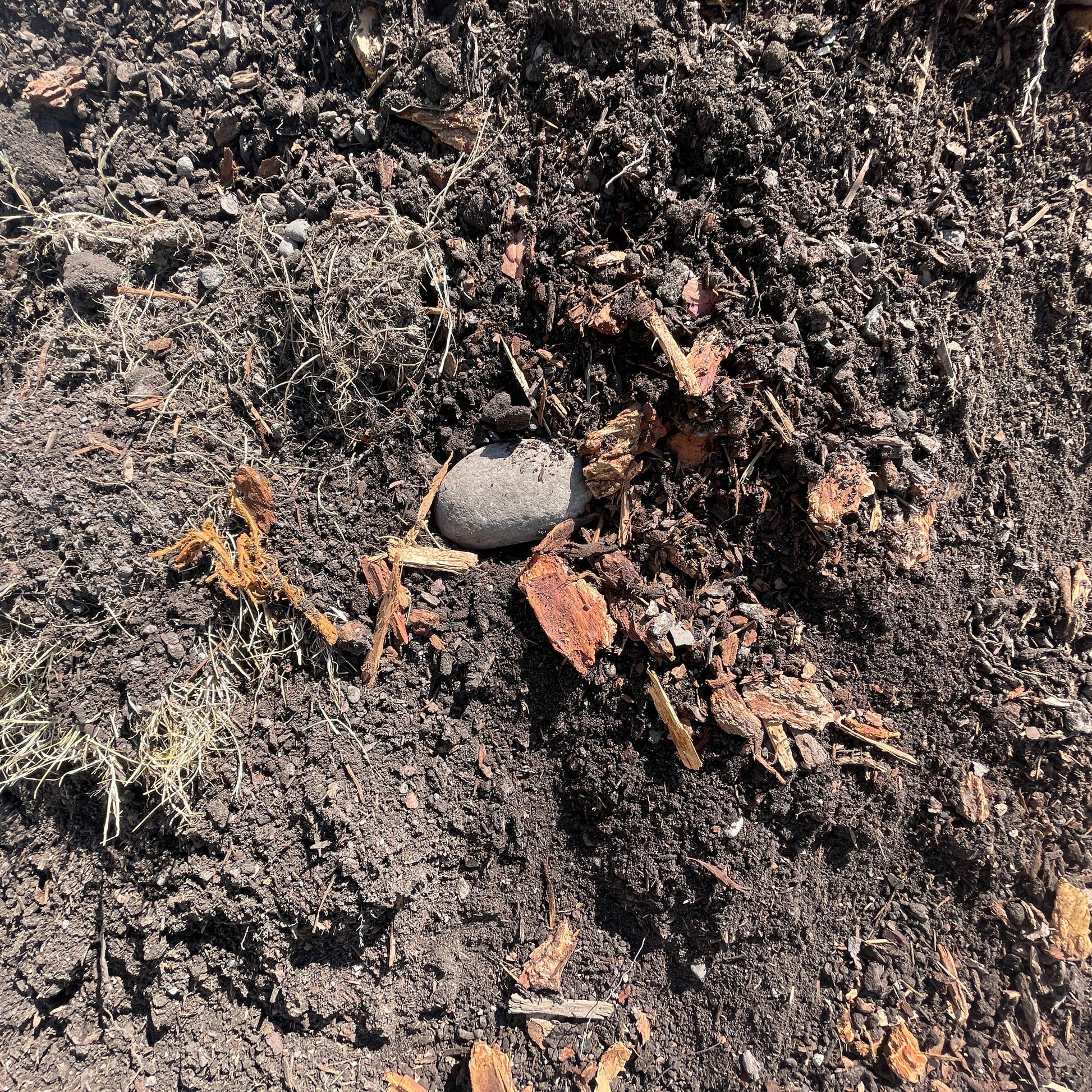 a close up of unscreened fill dirt.  