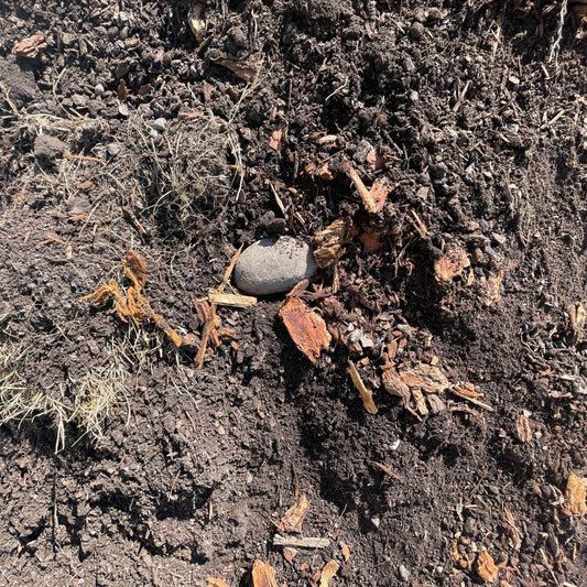 a close up of unscreened fill dirt.  