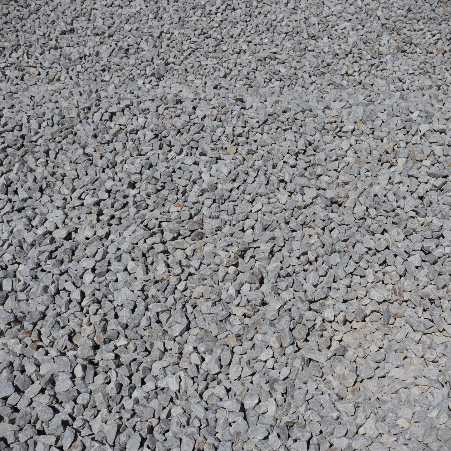Lolo Blue Chips 1.25 inch