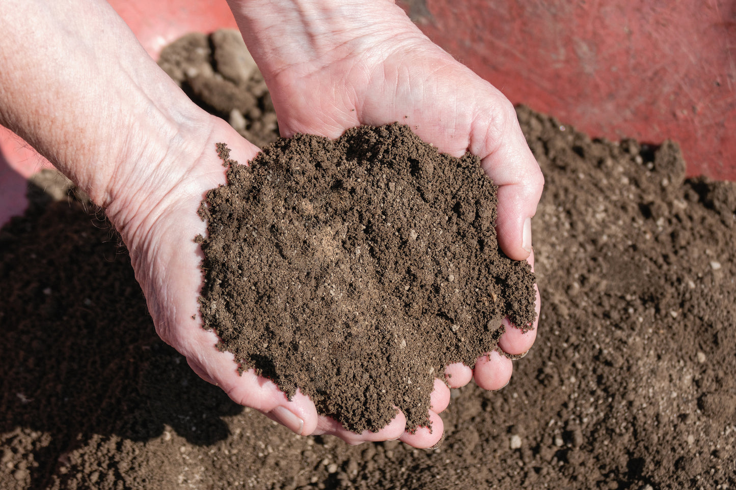 Screened Topsoil in hand and wheel barrow.